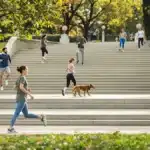 Featured image placeholder 16:9