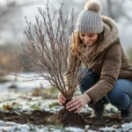 Featured image placeholder 16:9