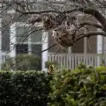 Featured image placeholder 16:9