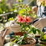 Featured image placeholder 16:9